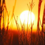 sunset 1955110 1280