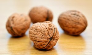 walnuts 552975 1280