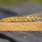 Gluten