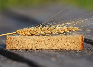 Gluten