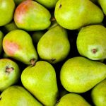 fruit 1534494 1280