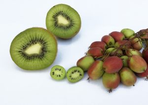 Kiwi versus MiniKiwi