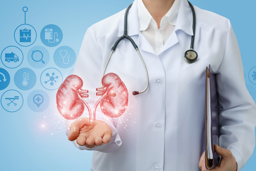 Nerki Światowy dzień