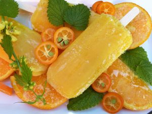 Sorbet lody owocowe dozdrowia