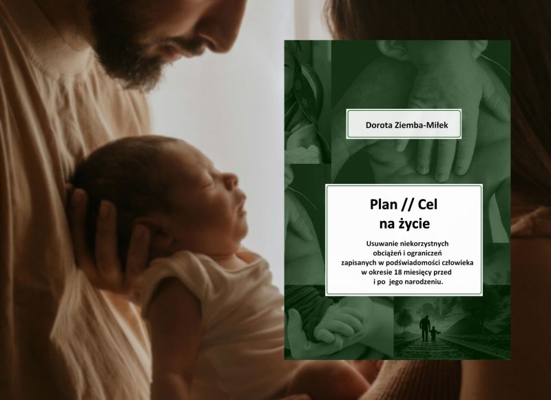 Plan Cel Dorota Ziemba Miłek (1)