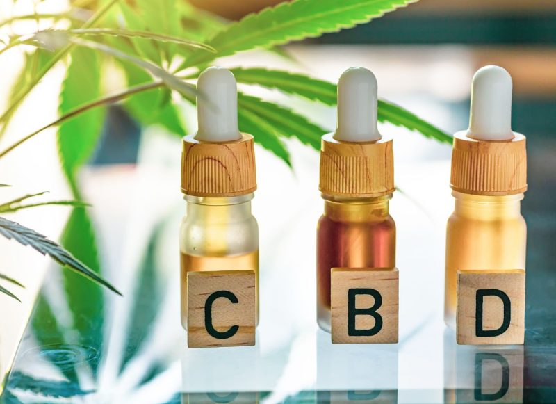 cbd zdrowie olejki konopie