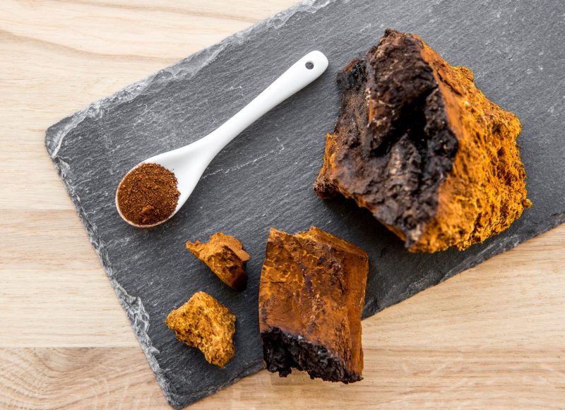 Chaga  dozdrowia.pl