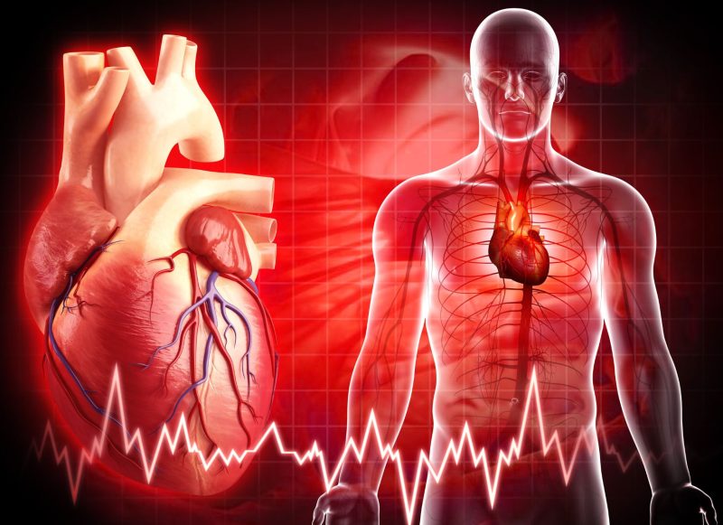 badania obrazowe serca dozdrowia.pl